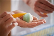 人気和菓子作家に学ぶ、心ときめく季節の創作和菓子作り  試食＆レシピ付き